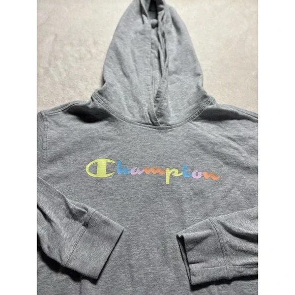 Champion Solid Gray Multi Color Lettering Hoodie Sweatshirt Men's Size Large - Picture 2 of 8